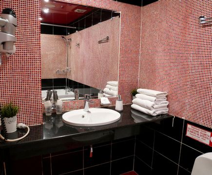 Стандарт №110