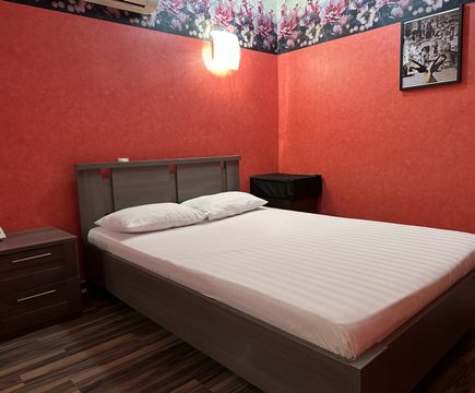 Стандарт Руж