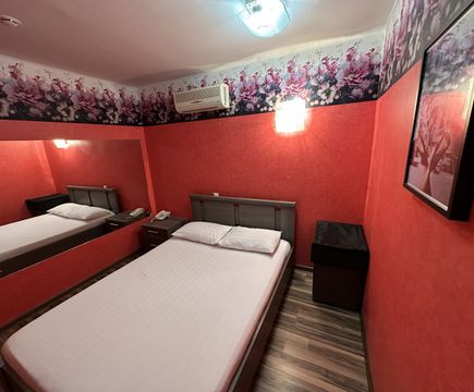 Стандарт Руж