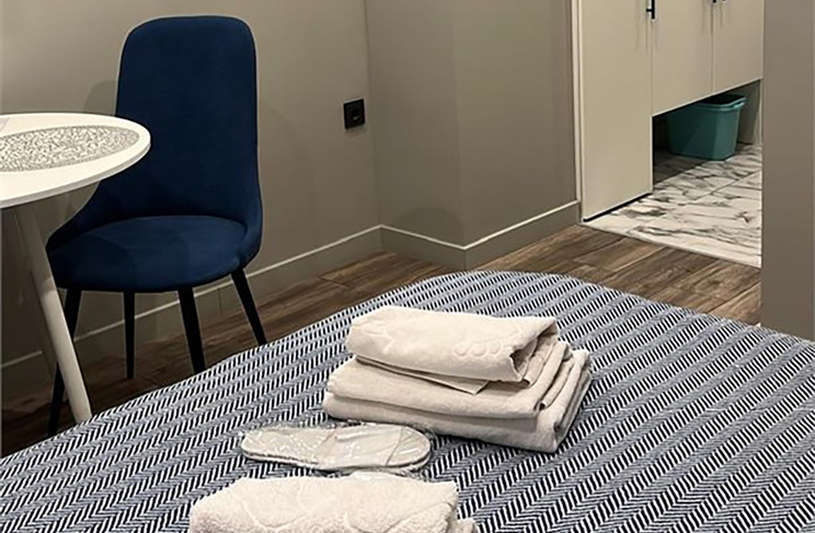 Ленинский 1029