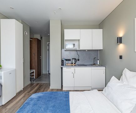 Ленинский 1054