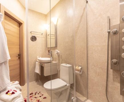 wc Париж