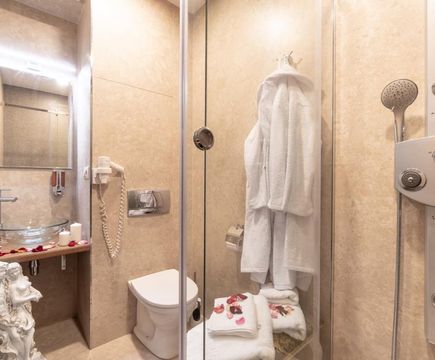 Париж wc